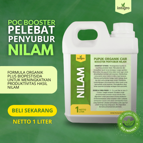 Pupuk Nilam / Pupuk Tanaman Nilam / Pupuk Penyubur Daun dan Batang Tanaman Nilam / Pupuk Pelebat Dau