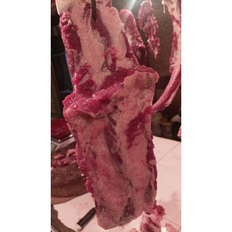 

TULANG IGA BELAKANG TANPA BONGGOL LOKAL 1/KG