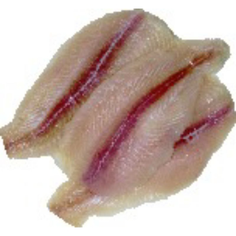 

Dori FILLET FROZEN @1KG Berkualitas