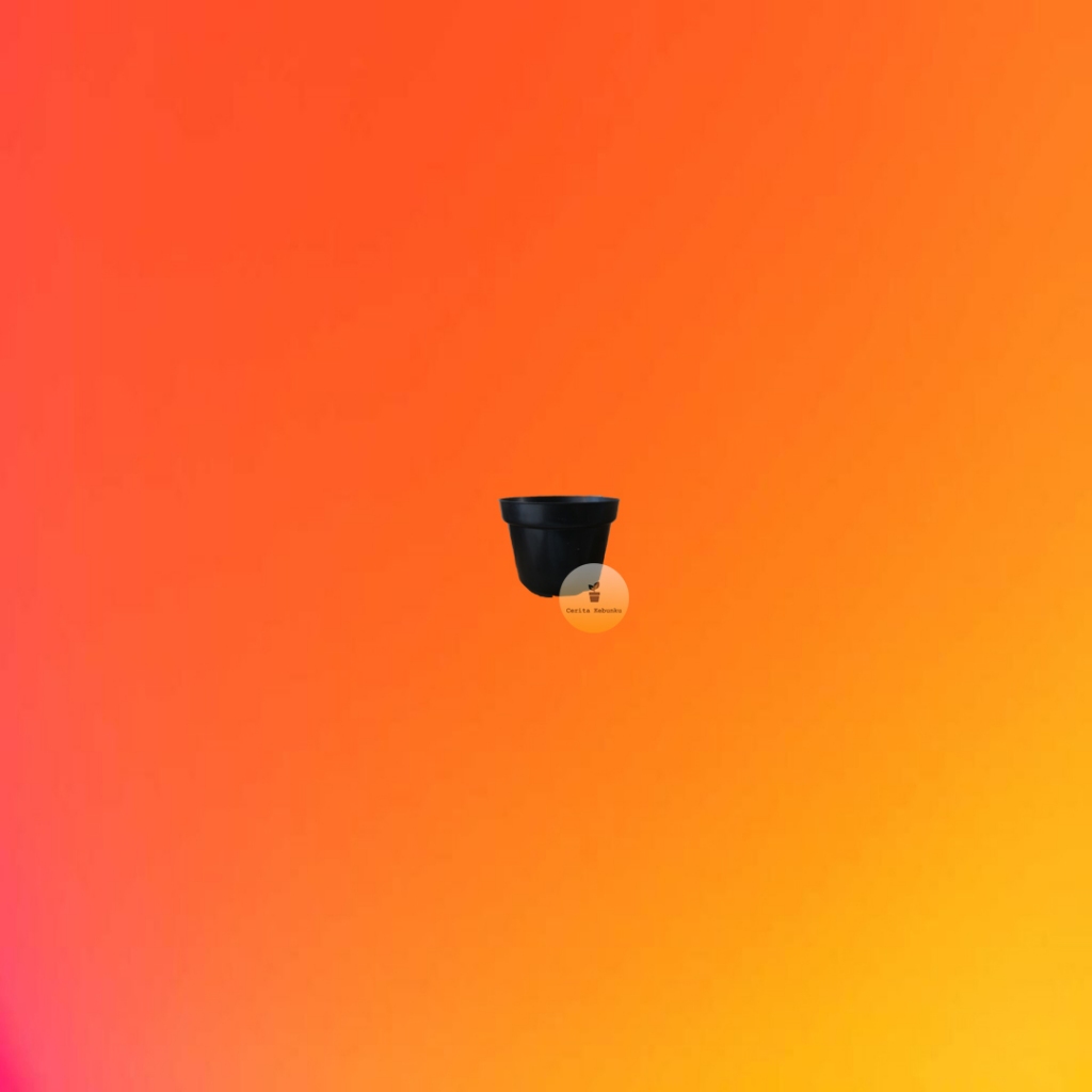 [TANPA MINIMAL ORDER] (1 pc) Pot Hitam 8 Cm - Pot 8 Cm Hitam Pot Bunga 8CM Plastik Kaktus Vas Bunga 