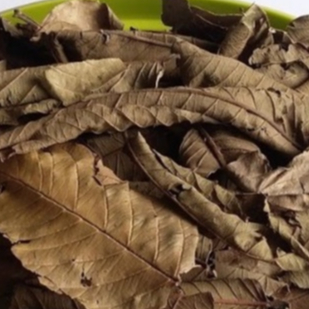 

TERMURAH DAUN JAMU BIJI KERING 500 GRAM