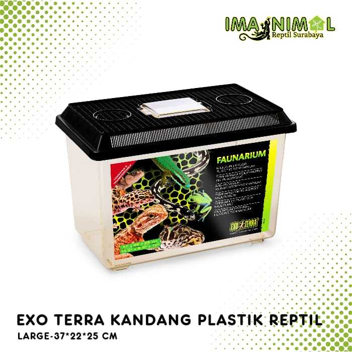 ExoTerra Faunarium L Kandang Kotak Box Reptil Iguana Gecko Ular Katak