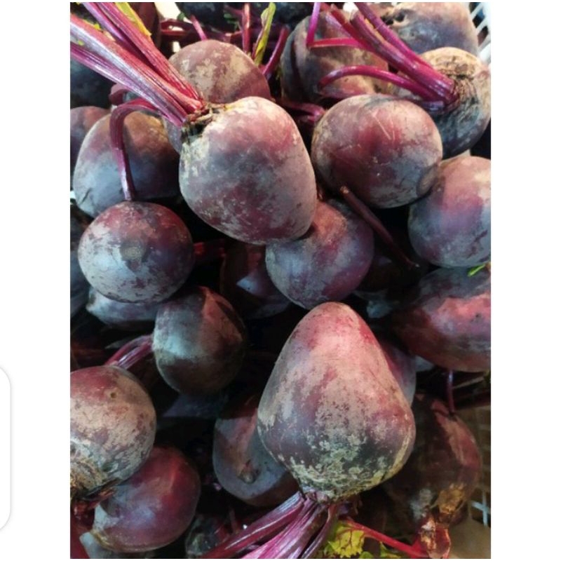 

Puri Segar Shop, Buah Bit 1 Kg