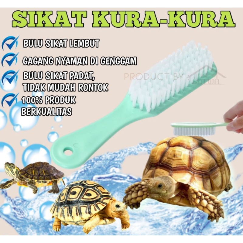 Sikat kurakura darat kura air turtle tortoise sulcata pardalis aldabra instar istar pembersih tempur
