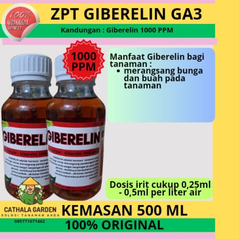 ZPT HORMON GIBERELIN GA3 1000 PPM KEMASAN 500ML | HORMON TAMAMAN MEMICU BUNGA DAN BUAH