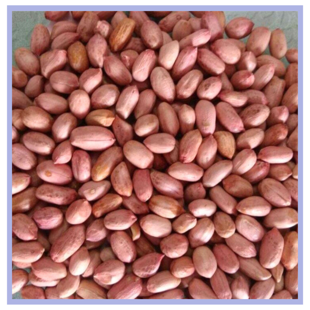 

❤️ Albani ❤️ Kacang Tanah Mentah Asli Madura - Kemasan 250 gram - Kacang Super