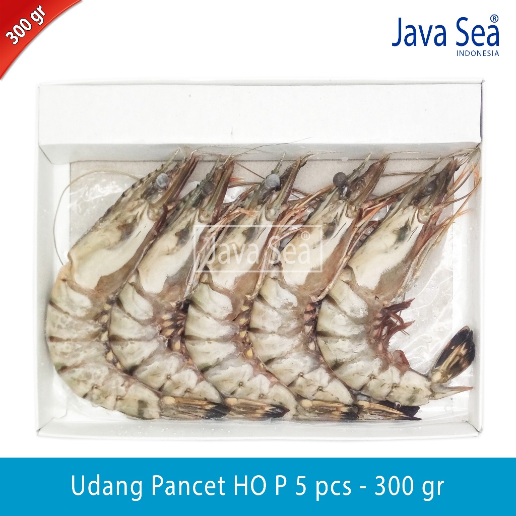 

Udang Pancet Utuh Ada Kepala HO P-5 pack 300gr Java Sea