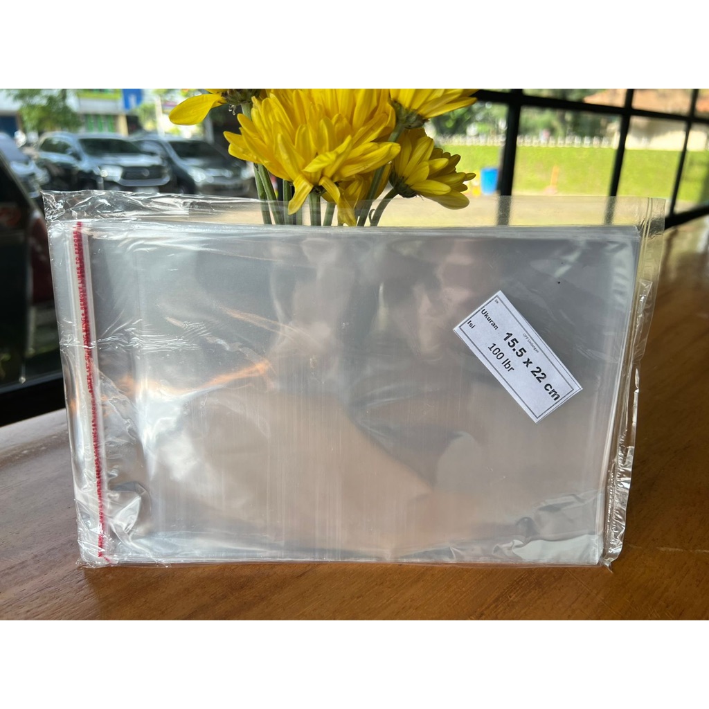 Plastik OPP 16.5 x 22