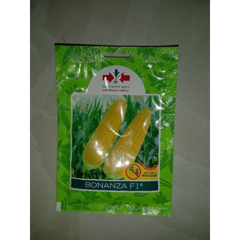 Benih Jagung Manis BONANZA F1