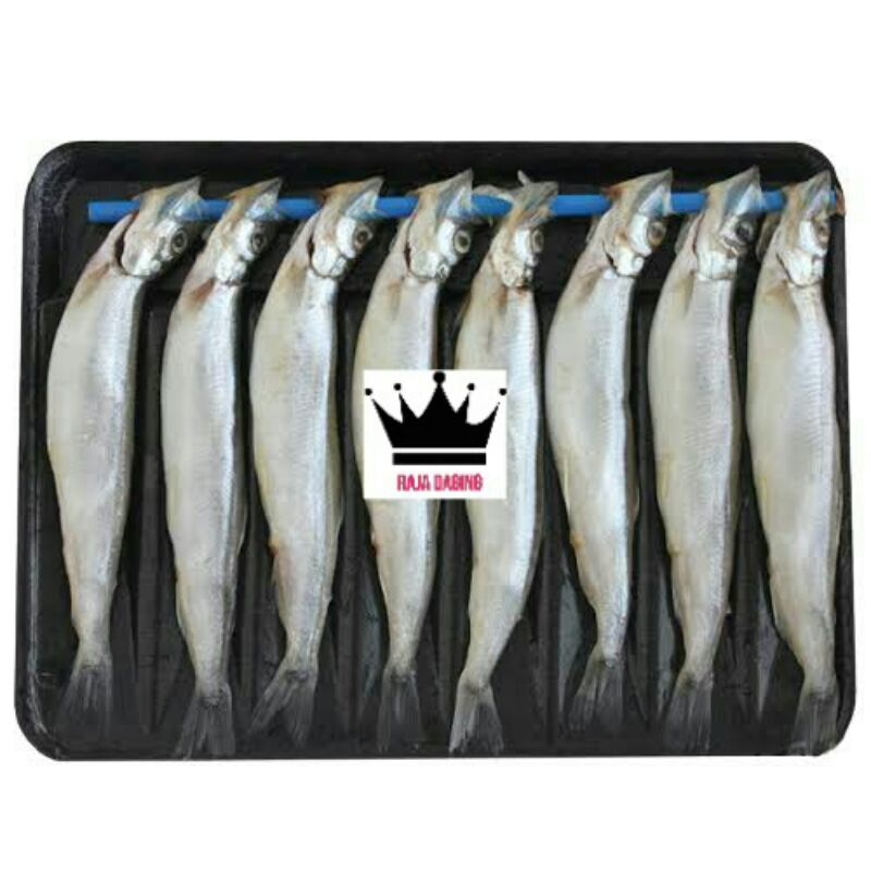 

Ikan Shisamo