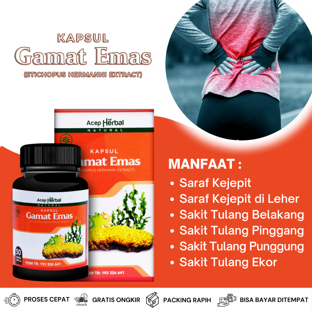 Obat Syaraf Kejepit, Obat Urat Kejepit, Obat Saraf Kejepit, Obat Urat Kejepit di Tulang Belakang, Ob