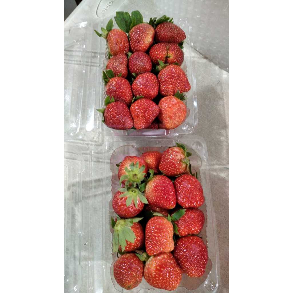 

Strawberry lokal 250gr