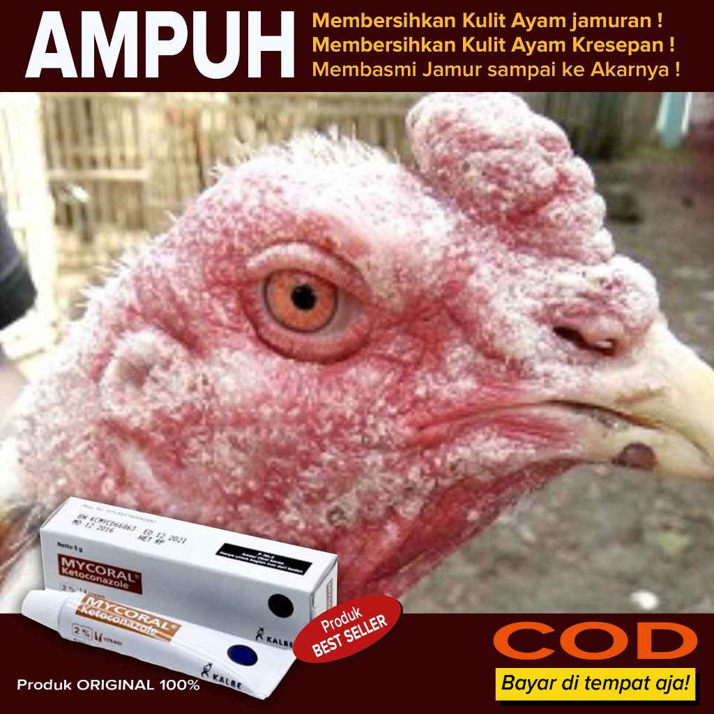 Terlaris salep obat Ayam kresepan jamur kulit ayam Bersisik Kresepan AMPUH Membersihkan Memusnahkan 