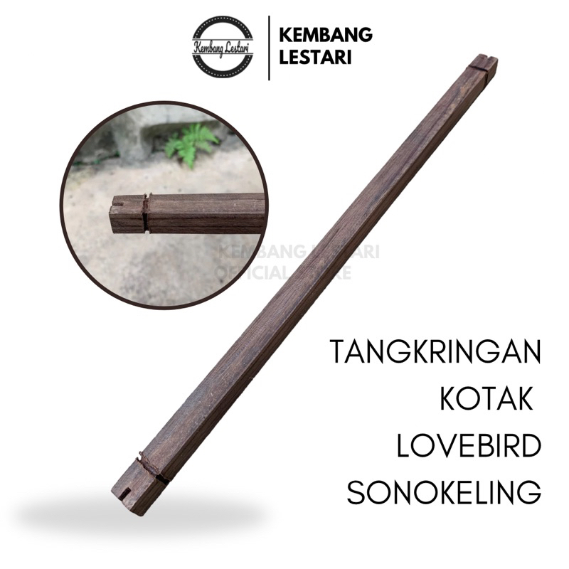 Tangkringan Burung lovebird kotak sonokeling original