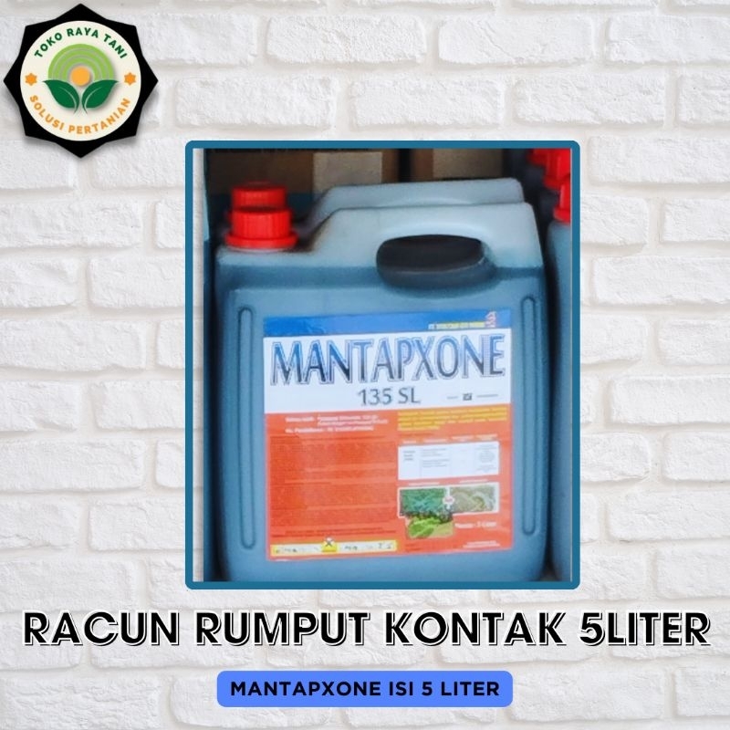 Jual Racun Rumput Kontak isi 5 Liter pengiriman kargo & Instan Mantapxone 5 liter