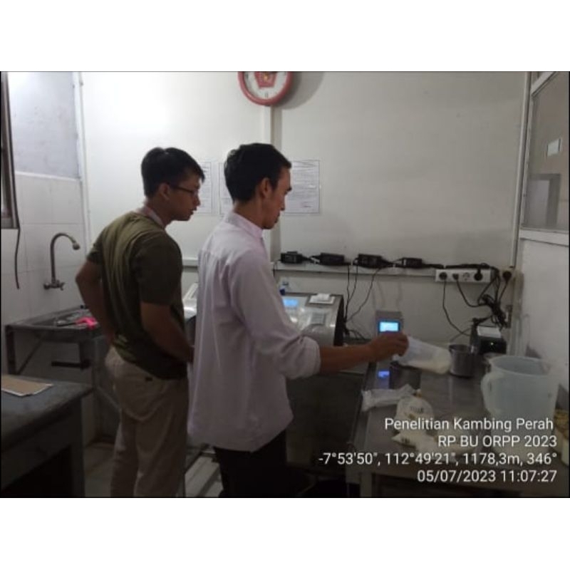 

susu kambing saanen cair(beku)