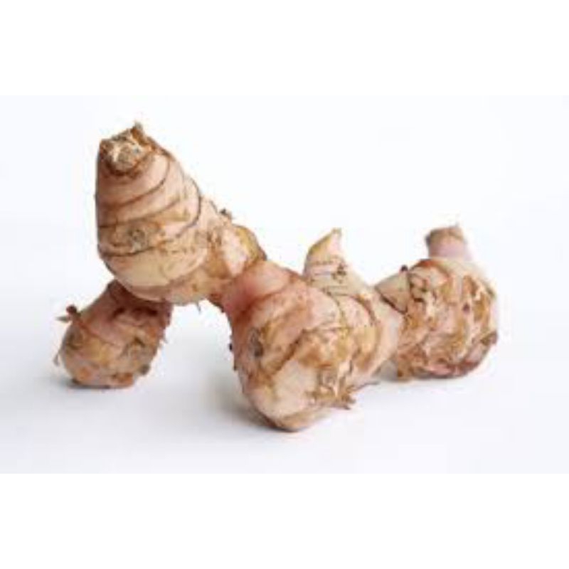 

LENGKUAS SEGAR TUA 1KG