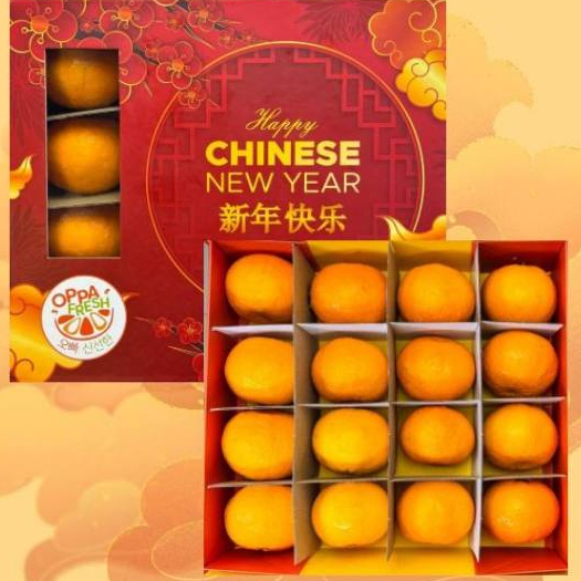 

HAMPERS BUAH IMLEK MAKASSAR 2024 WEALTHY
