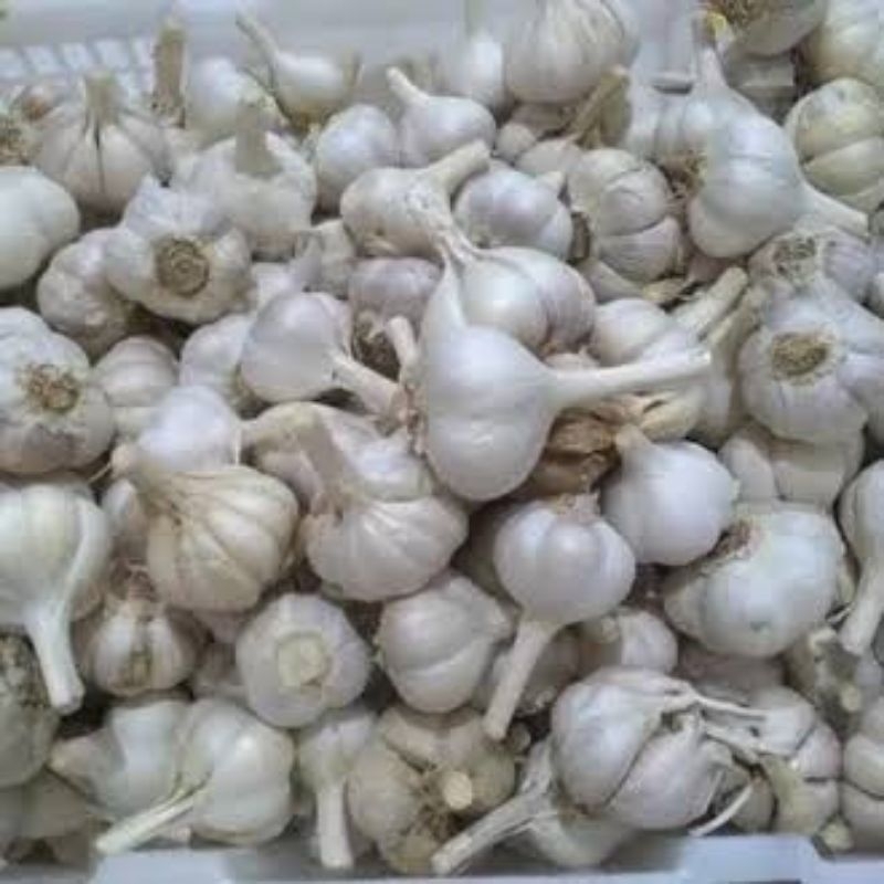 

BAWANG PUTIH KATING 250G