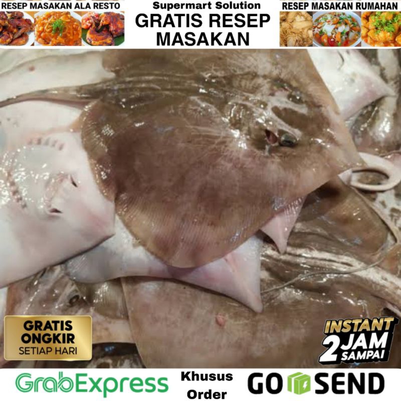 

Ikan Pari Segar Utuh