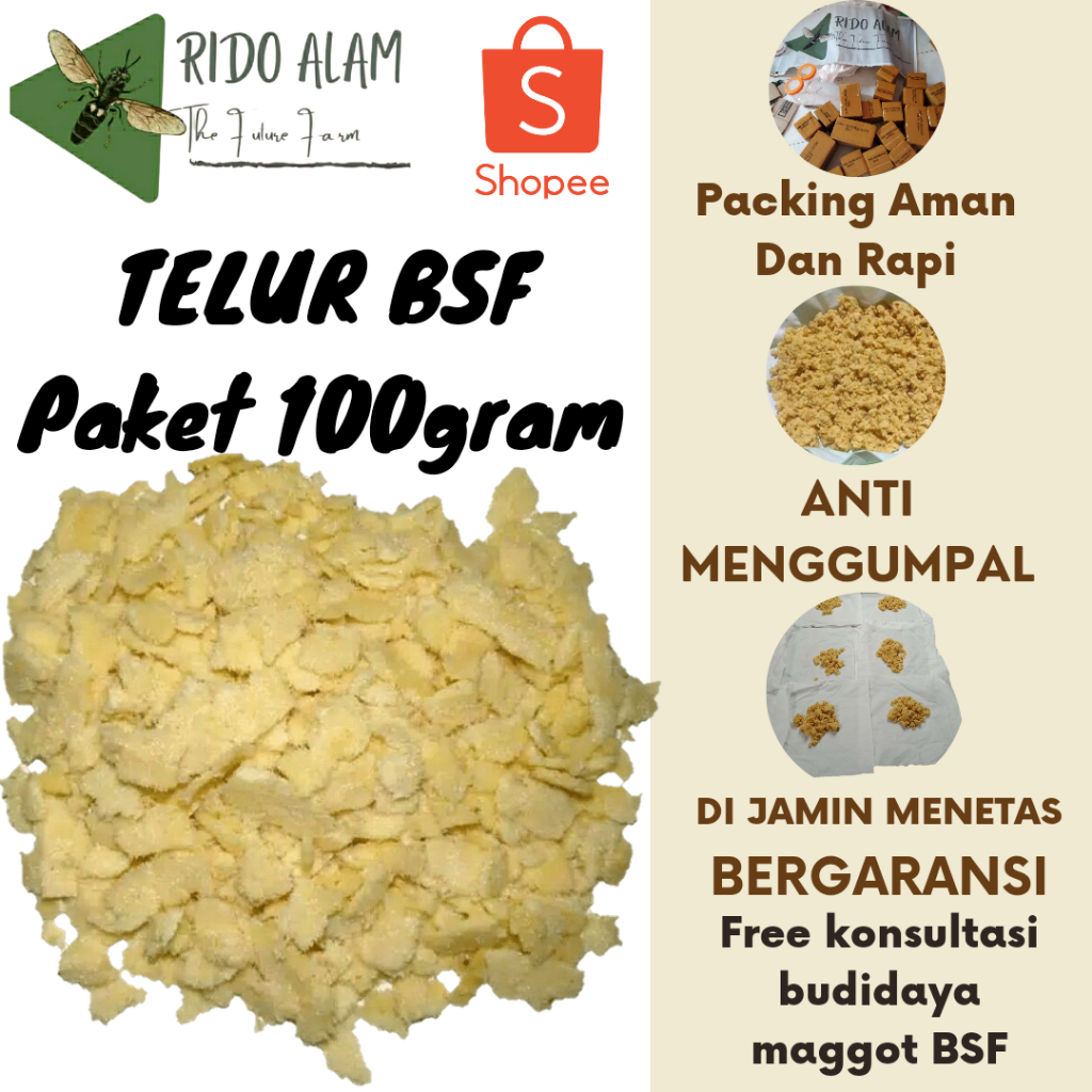 TELUR BSF FRESH 100GRAM TELUR LALAT BSF SUPER TELUR MAGGOT