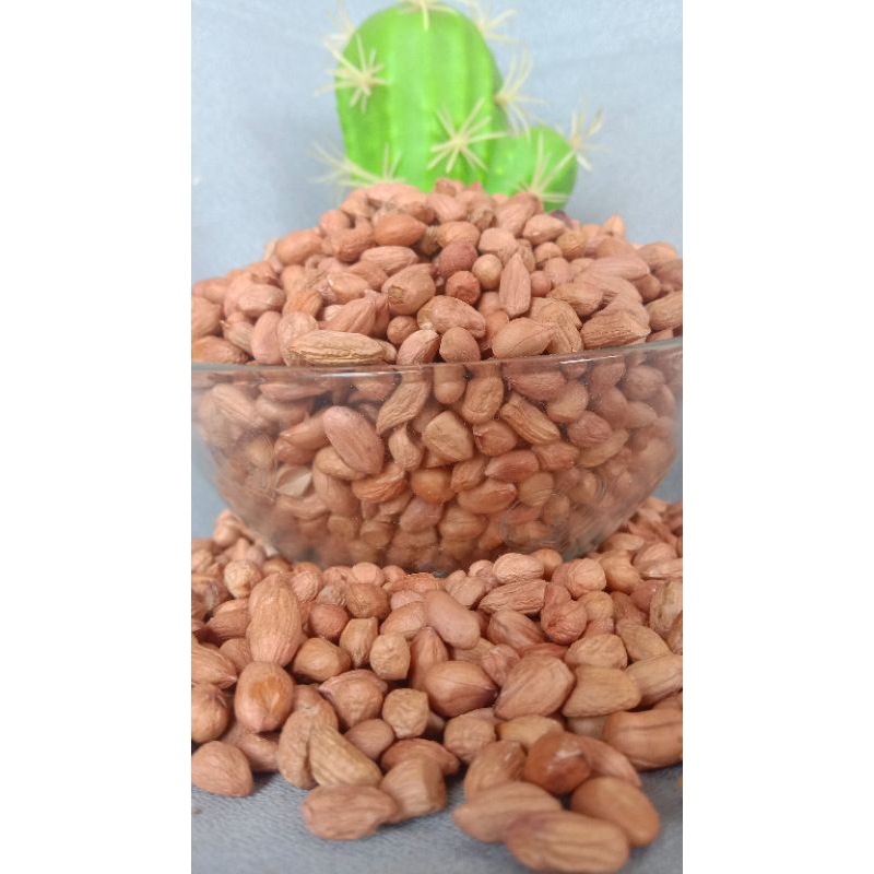 

kacang tanah, asli kacang segar
