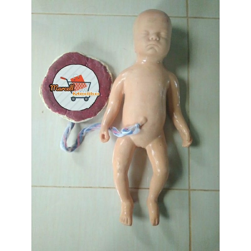 PHANTOM MANEKIN BAYI PLASENTA SILICONE