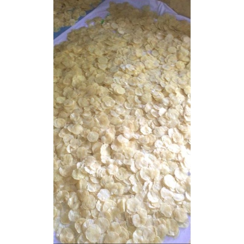 

EMPING MELINJO LIMPUNG 1000GRAM