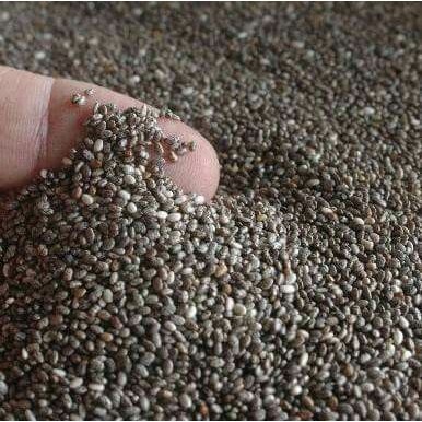 

Chia seed kualitas terbaik