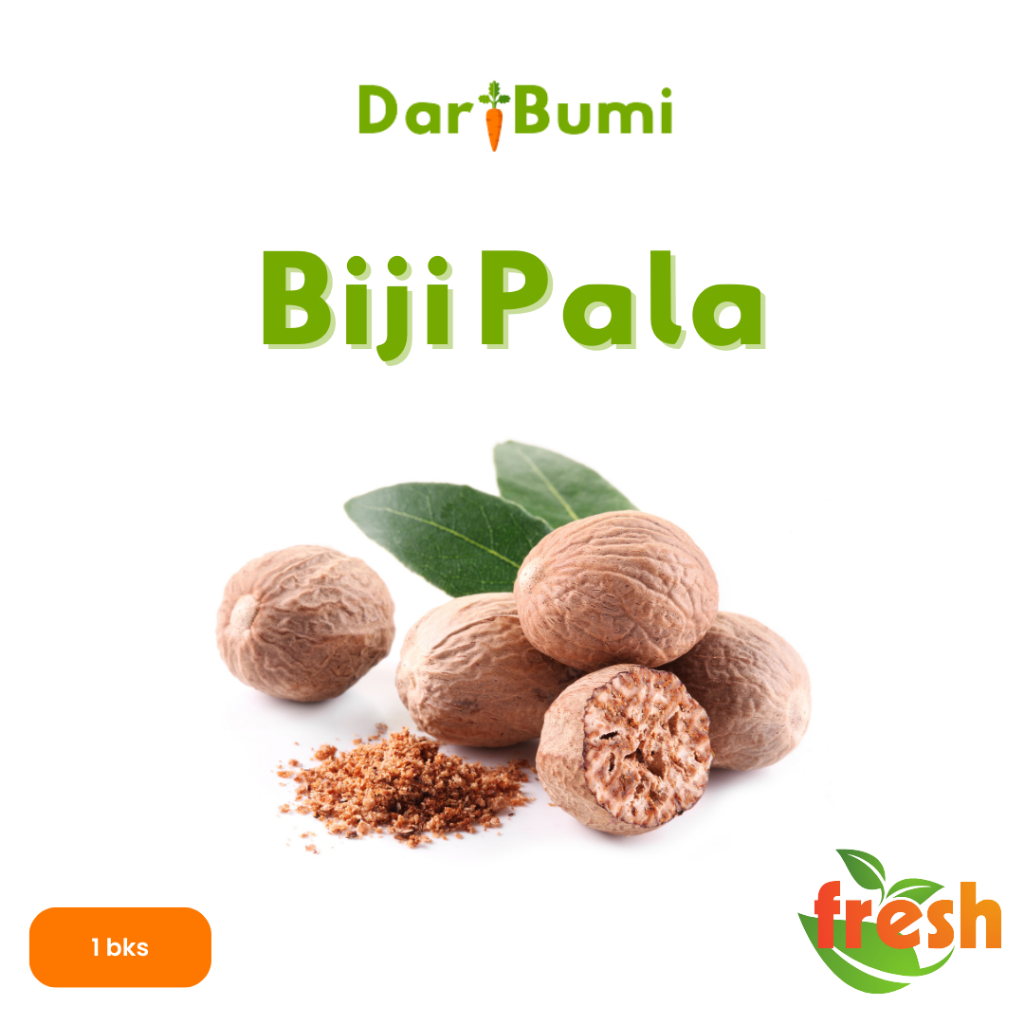 

rempah rempah biji pala bumbu dapur
