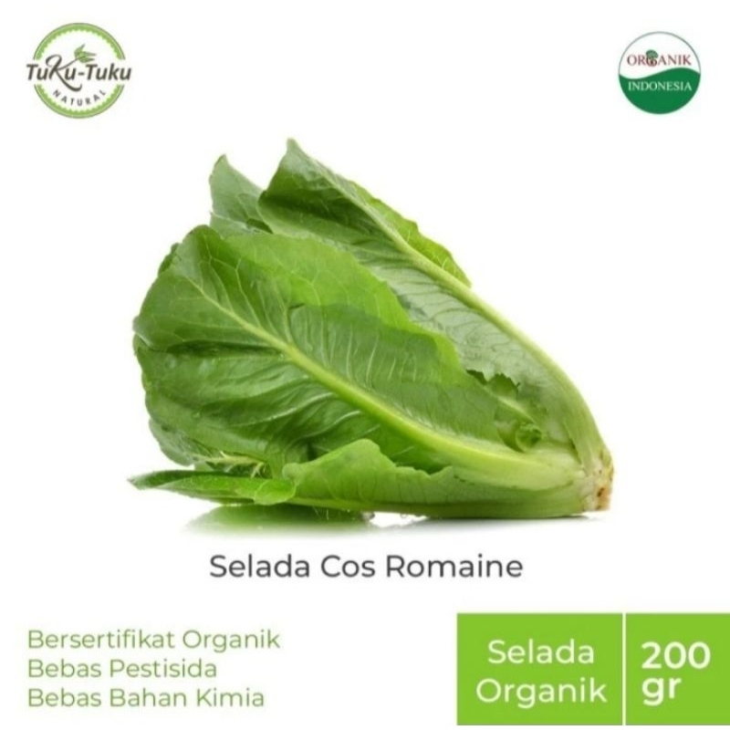 

Selada Cos Romaine Organik 200gr