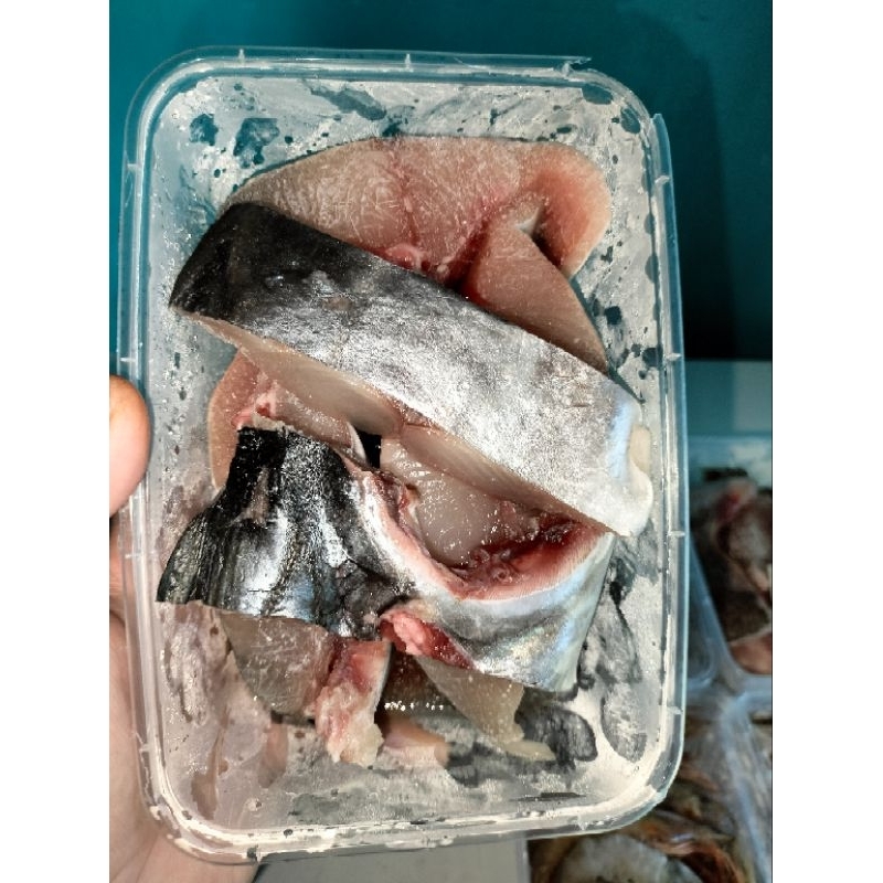 

Ikan tenggiri basah 500gr potongan daging