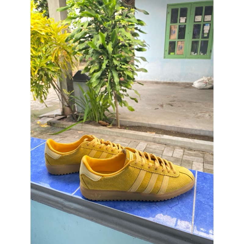 Adidas Bermuda gold