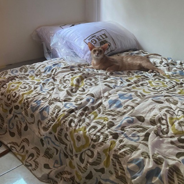 Preloved bed cover ace hardware 150x200cm