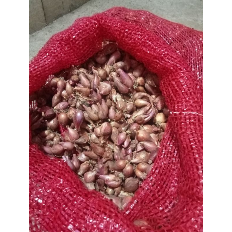 

Bawang merah/brambang
