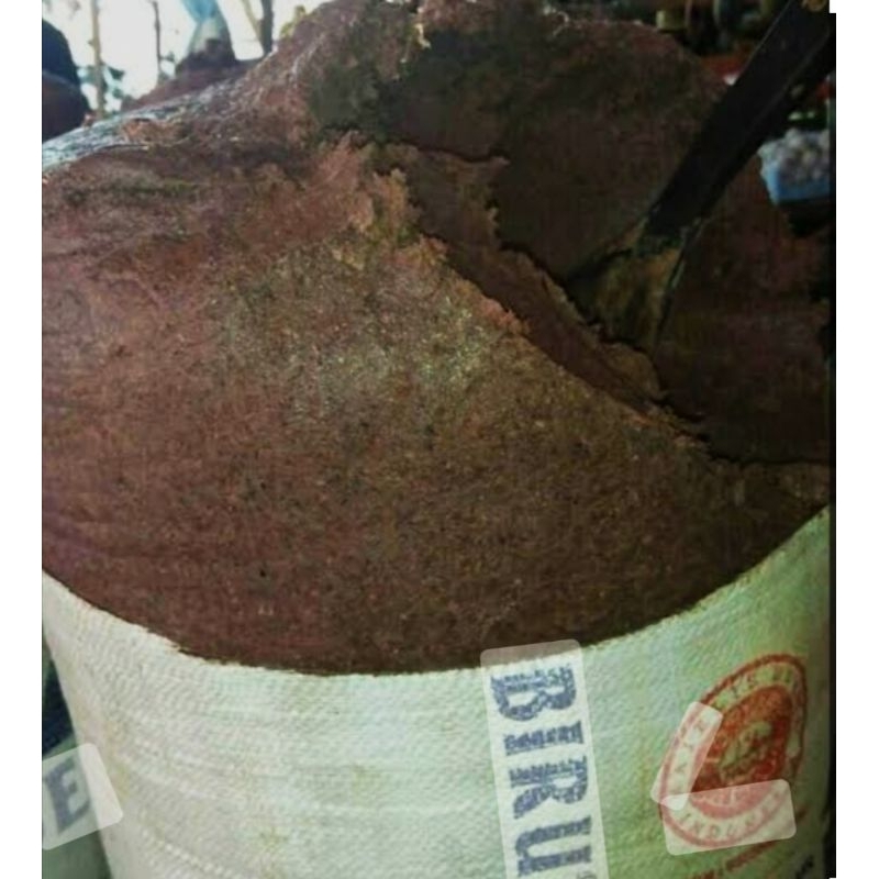 

terasi asli LANGSA aceh