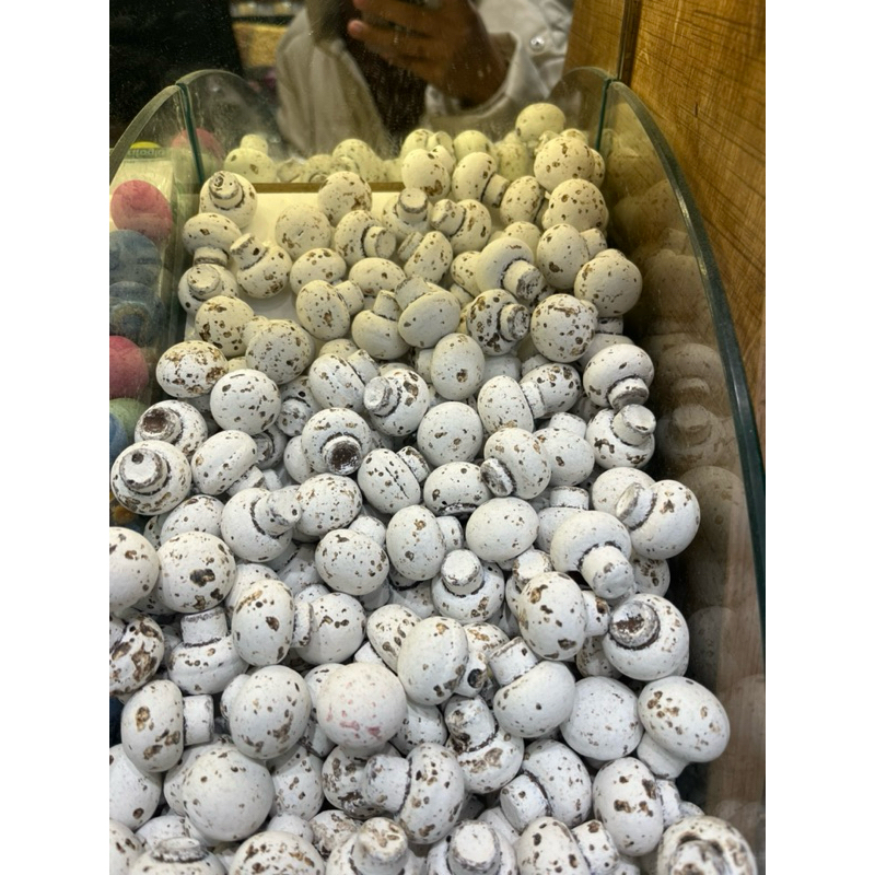 

COKLAT JAMUR | MUSHROOM CHOCOLATE | COKLAT TURKI