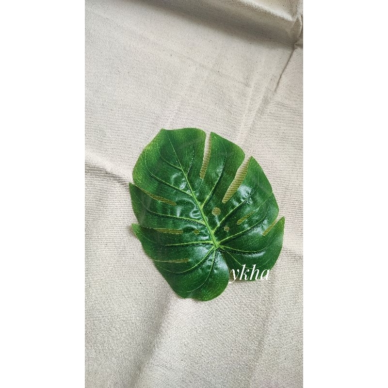 Daun Filler Daun Monstera Hiasan Mahar Hiasan Seserahan Daun Satuan