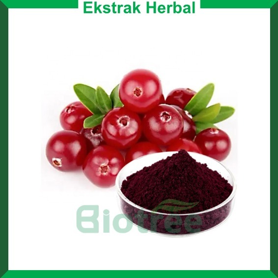 

Ekstrak Billberry Powder Antocyanidins 10% Suplemen Mata - 1 kg