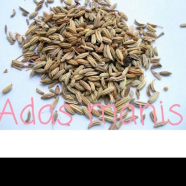 

Adas manis /fannel seed 100gram