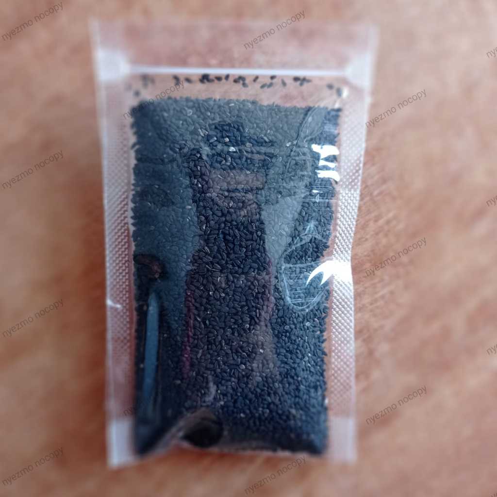 

50gr Jintan Hitam / Habbatussauda / Rempah Premium