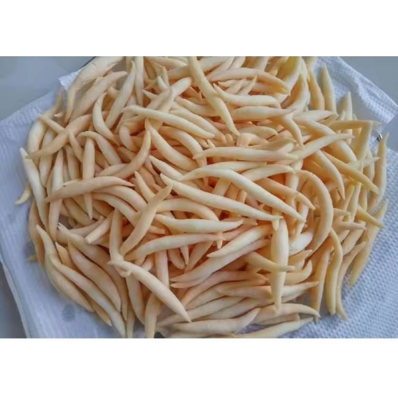 

GABUS KEJU