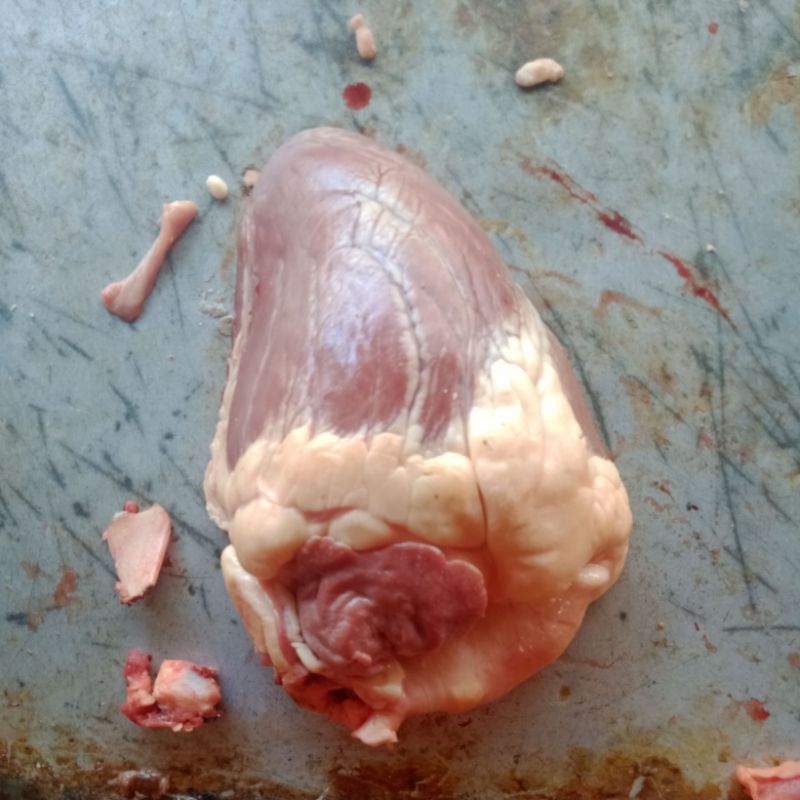 

Jantung Sapi