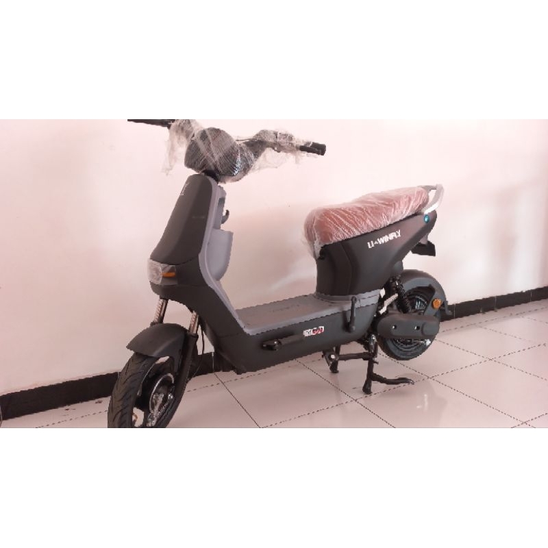 Sepeda Listrik Uwinfly D8S