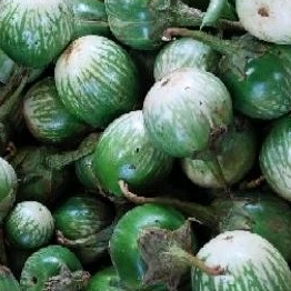 

Terong lalap besar segar1kg