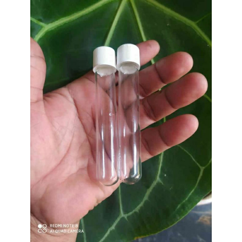 tabung reaksi 10ml tutup ulir