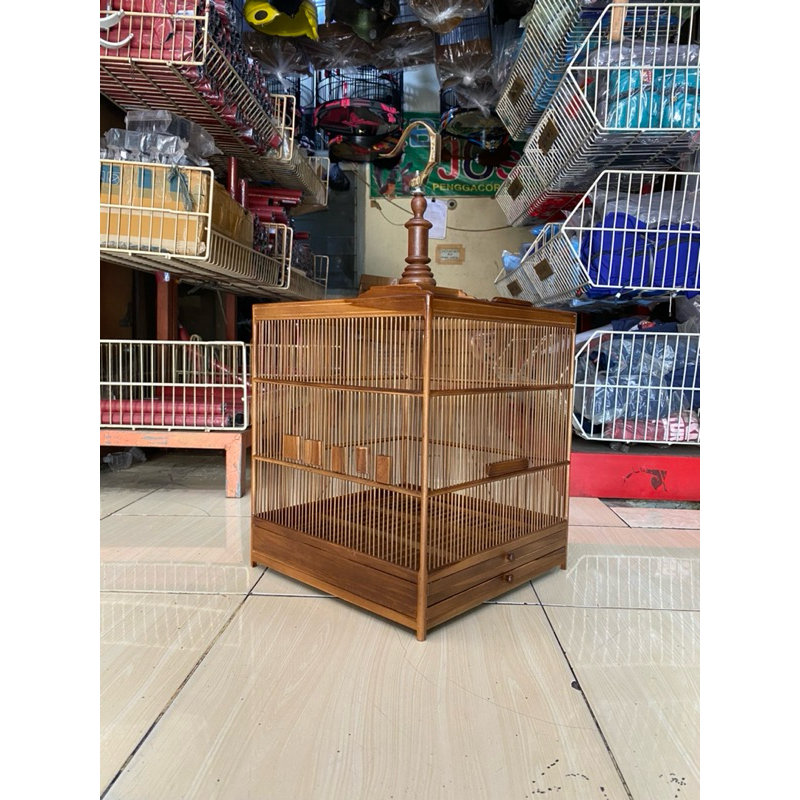 SANGKAR KANDANG KOTAK CMS JATI PENJINAKAN WAMBI