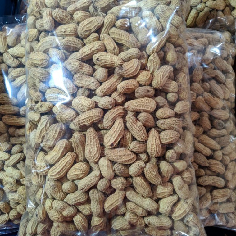 

KODE B43W KACANG KULIT SANGRAI 1KGKACANG BAKAR 1KG KACANG RENYAH KACANG MURAHKACANG KILOANAGEN SNACK