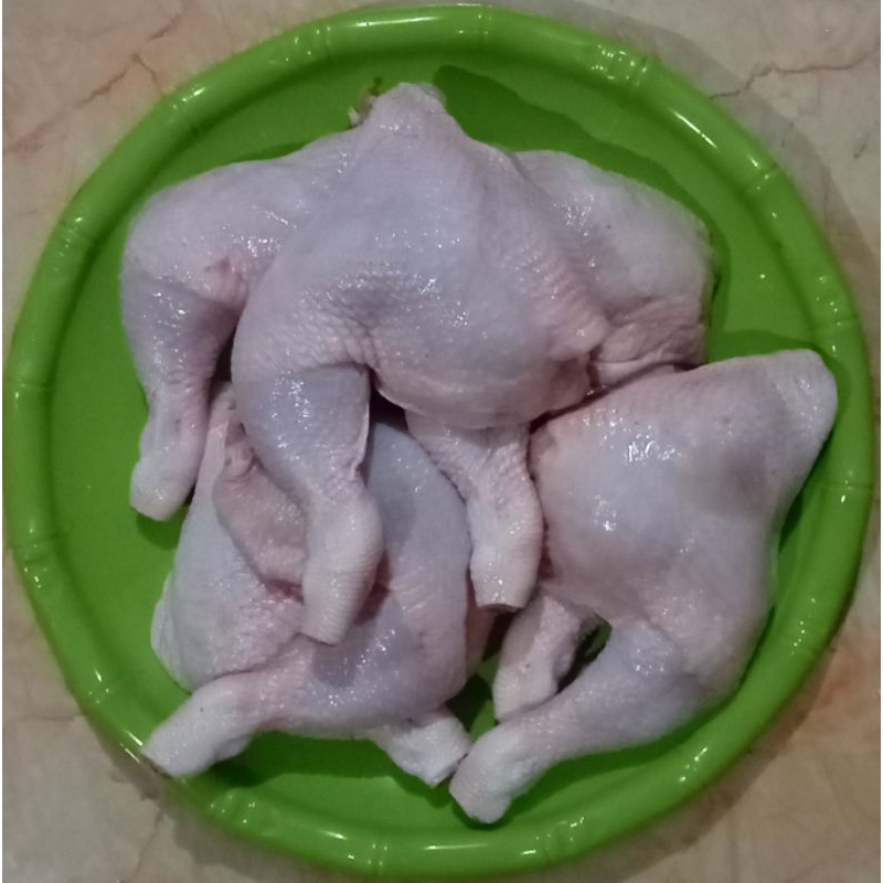 

Paha ayam atas bawah