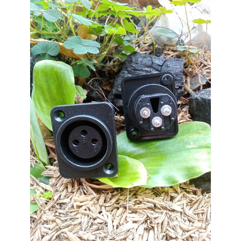 soket xlr female kaki lurus